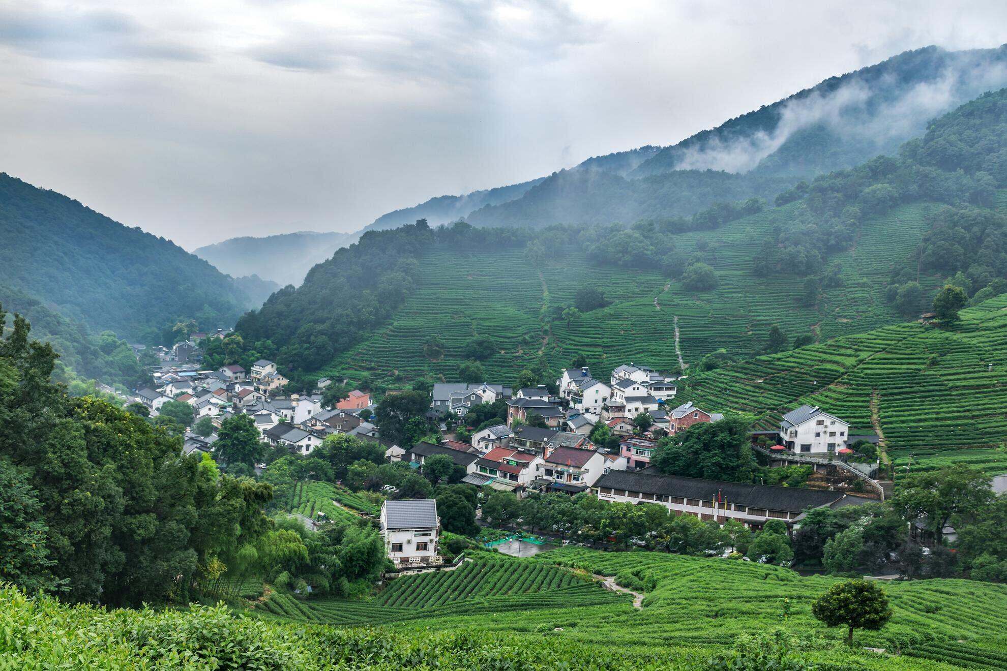 Longjing Tea Cultural Landscape, China